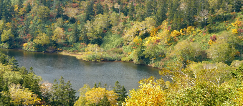 dsc05709.jpg
